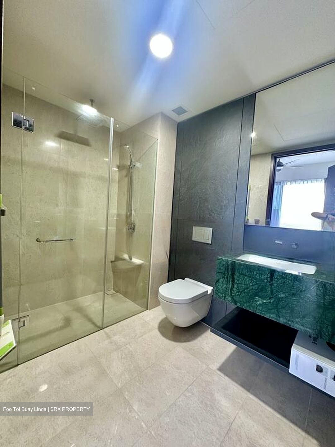 Dunearn 386 (D11), Apartment #485681381